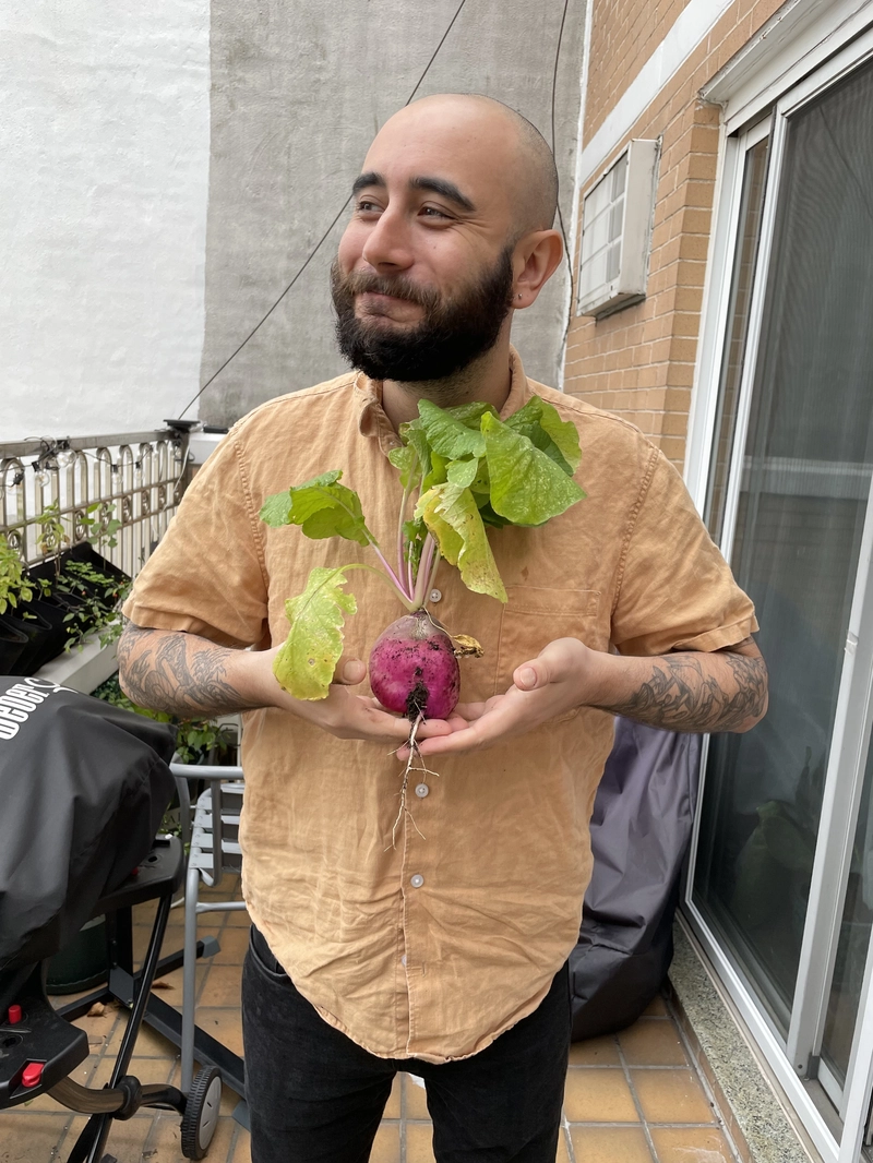 Levi's Sharpe 图像