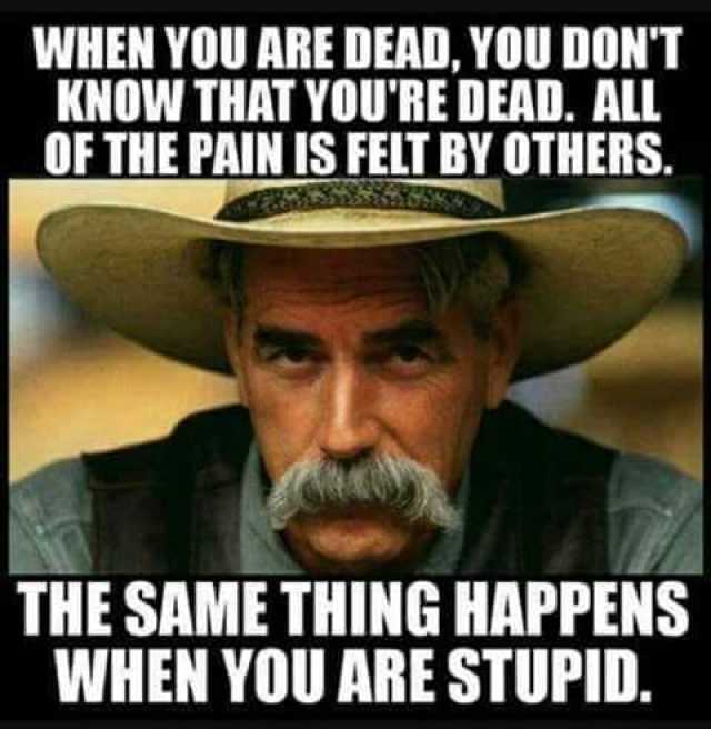 当你死了，你并不知道自己已经死了。所有的痛苦都由别人感受。愚蠢也会造成同样的结果。