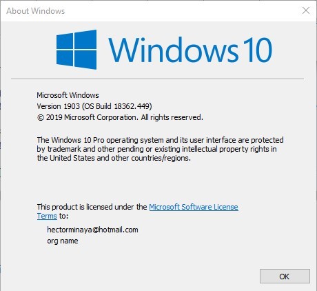 Windows 10 | 版本 1903（内部版本 18362.449）