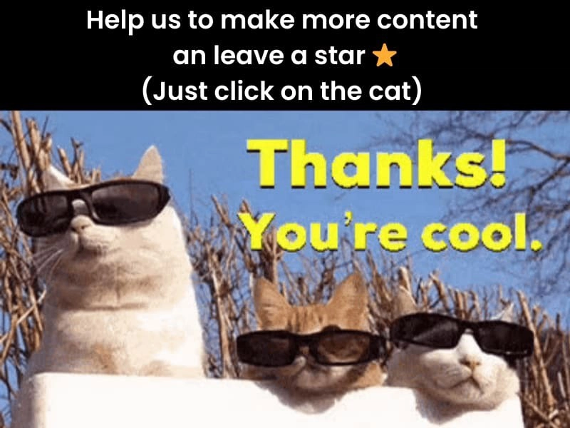 就连小猫咪都喜欢送星星