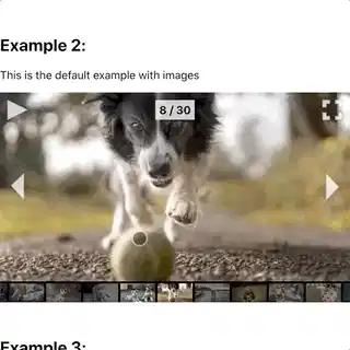 触摸控制的 react-gallery-carousel