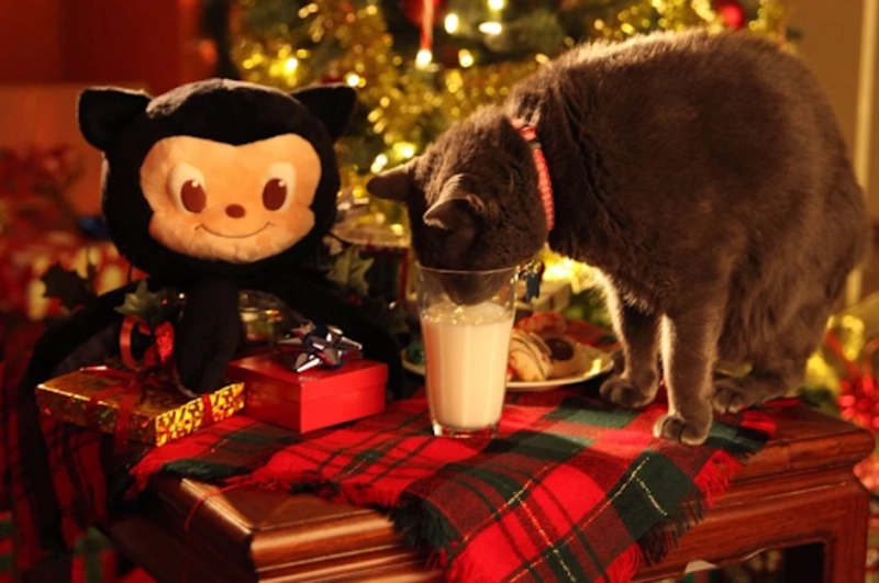 章鱼毛绒玩具图片