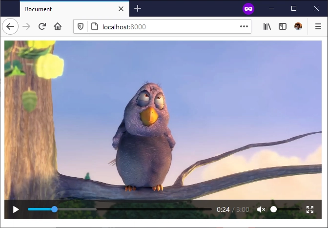 一只鸟的抛光视频