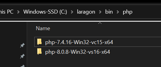 Laragon 中的多个 PHP 文件夹