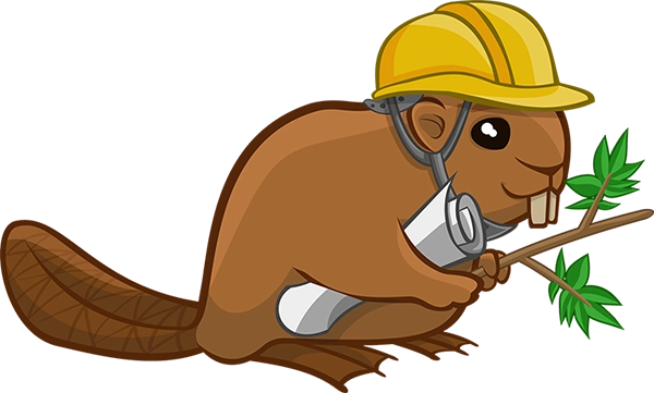 一只积极的海狸