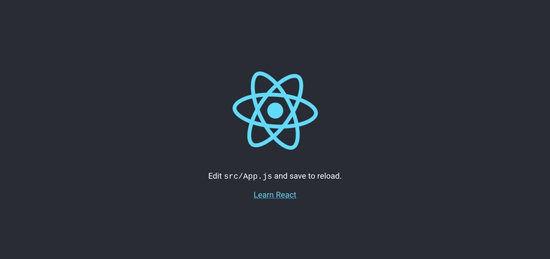 启动 React 应用程序