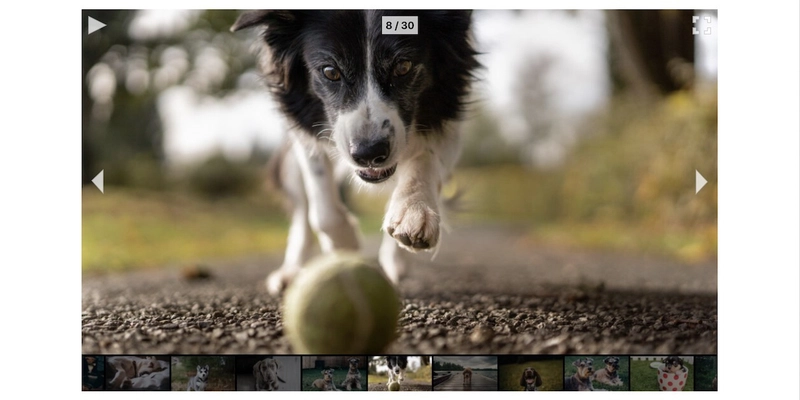 react-gallery-carousel 封面图片