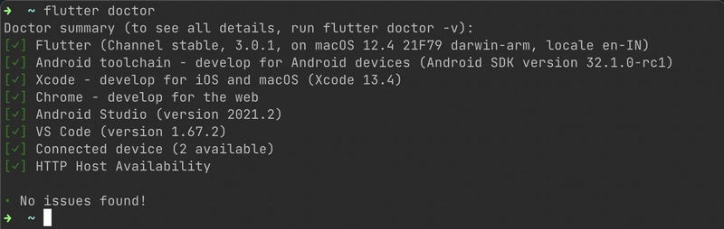 运行 Flutter Doctor