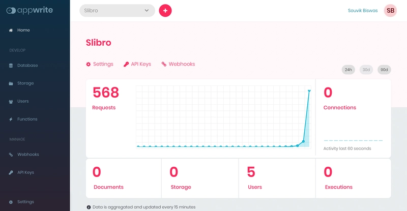 应用程序写入控制台