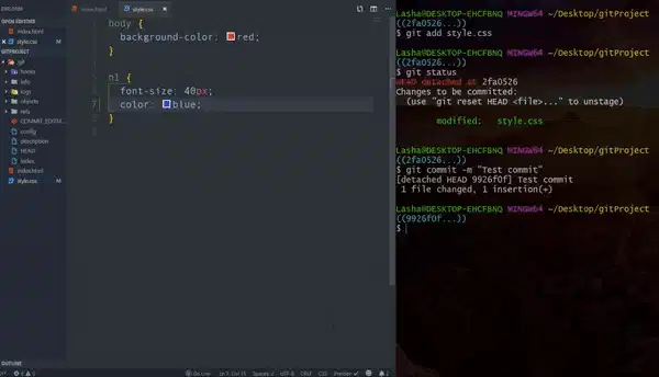 git-checkout-readonly