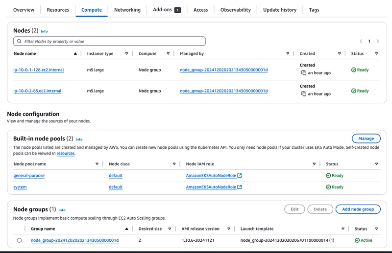 由 EKS Auto 创建的节点池
