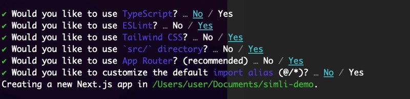 next.js 配置问题