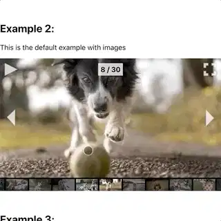 触摸控制的 react-gallery-carousel