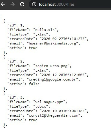/files 浏览器结果
