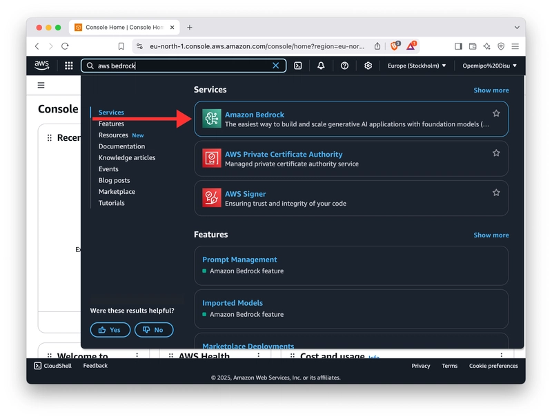 从控制台搜索 AWS Bedrock