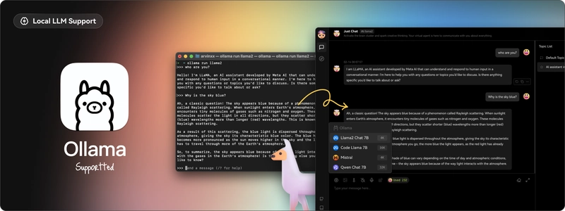 支持本地大型语言模型（LLM）。