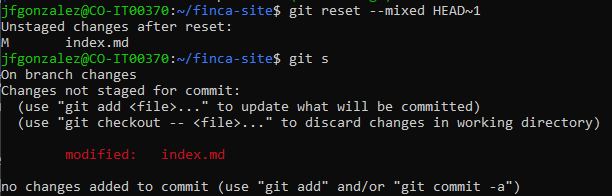 工作目录中的文件