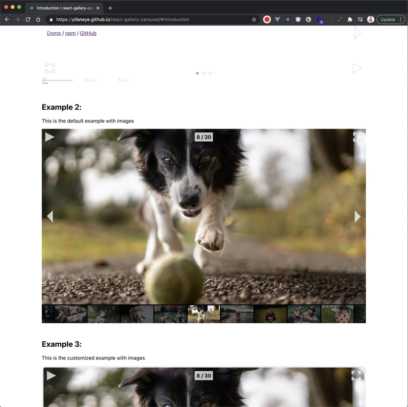 react-gallery-carousel 未最大化
