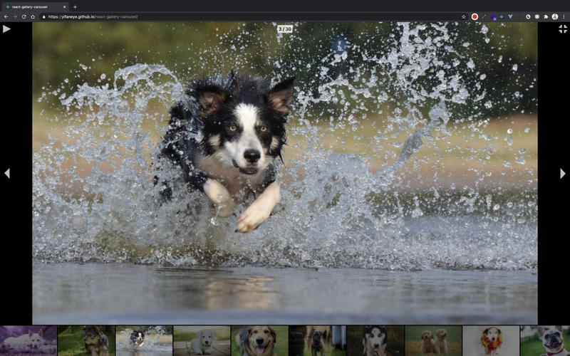 react-gallery-carousel 已最大化