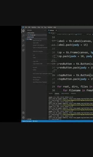 选定的音乐按钮图像