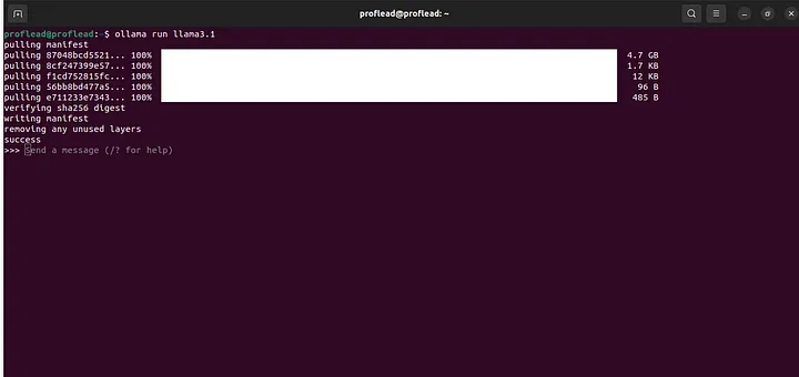 ollama 跑 llama3.1