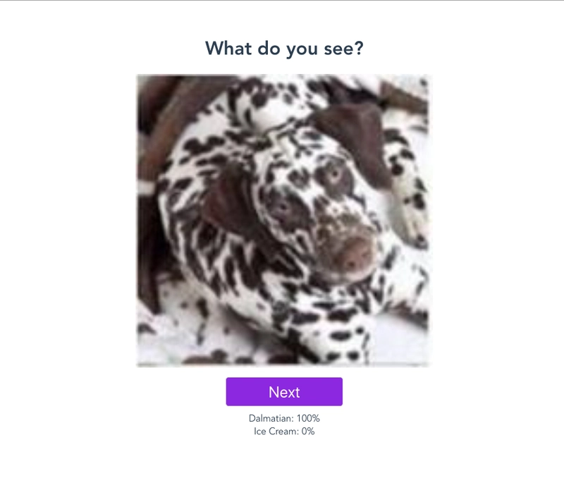 网站上的一只达尔马提亚犬