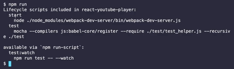 npm 运行输出