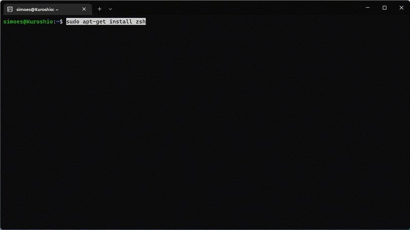 GIF instalação do ZSH