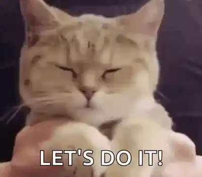 猫,我们这样做吧