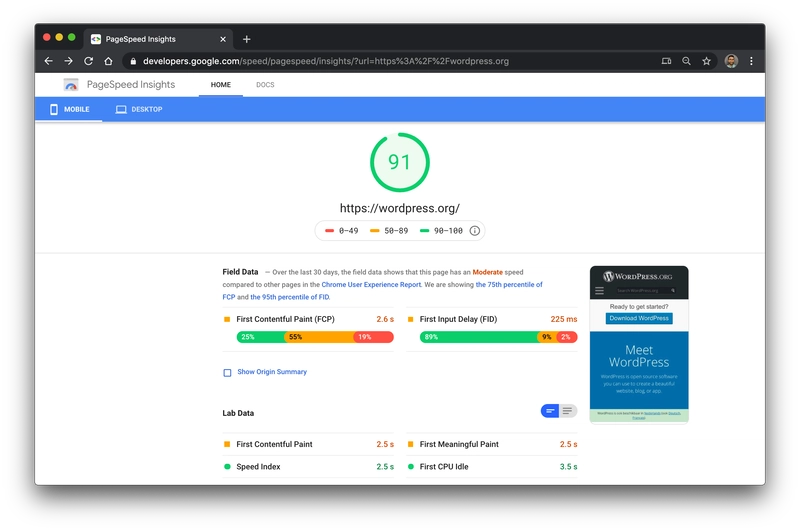 pagespeed insights v5 报告