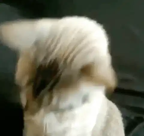 走