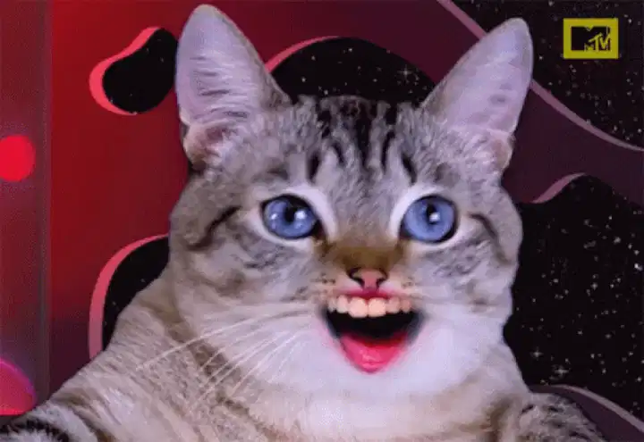 猫-ai-gif
