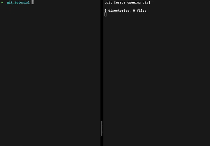 Git%20internal%20architecture/git_init.gif