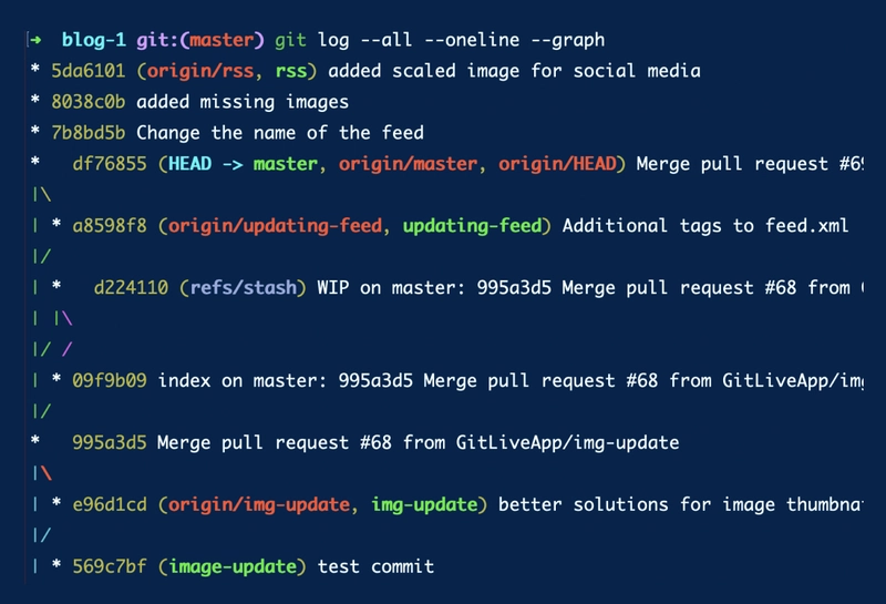 git-log-zoom.png