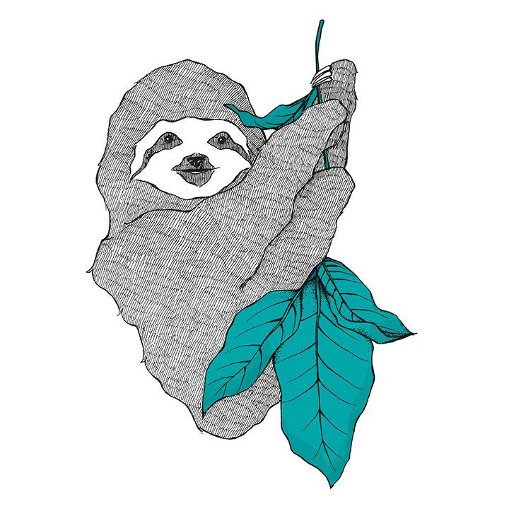斯隆图像