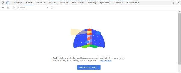 Chrome 开发者工具中的 Lighthouse 审计工具。
