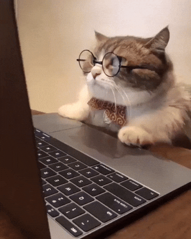 拥有超能力的猫