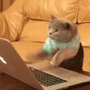 搜索“疯狂的gif”的图片结果