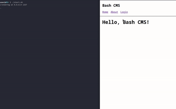 BashCMS 正在运行!