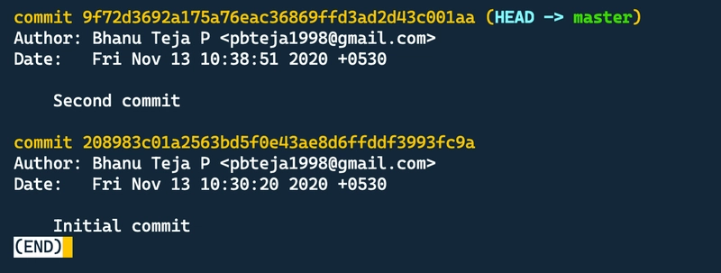 Screenshot 2020-11-13 at 10.39.39 AM.png