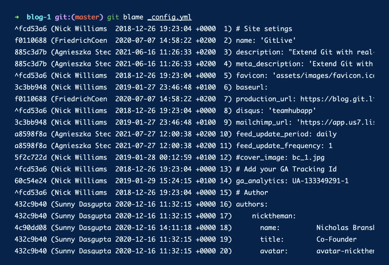 git-blame-zoom.png