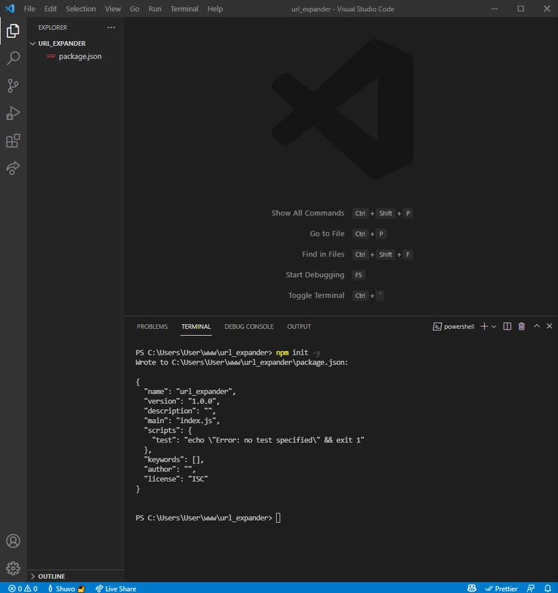 初始化一个新的 Node.js 项目