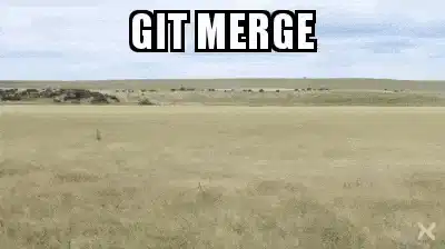 Git
