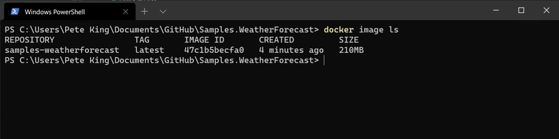 终端 docker 镜像 ls