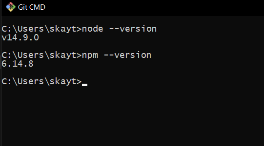 14-checknpmnode.png