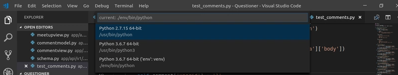 python_env