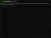 Oh My Zsh 的 GIF 安装