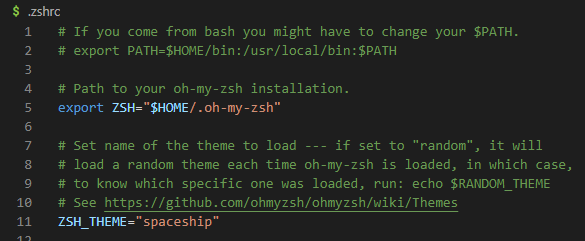 ZSH_THEME 变量配置示例