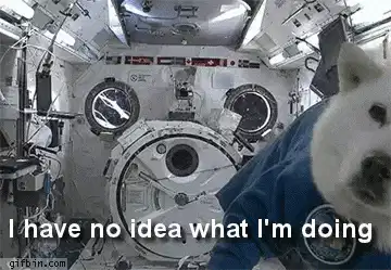 狗在航天飞机中漂浮的 GIF,说