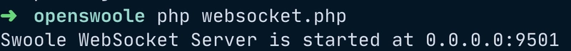 启动 WebSocket PHP 服务